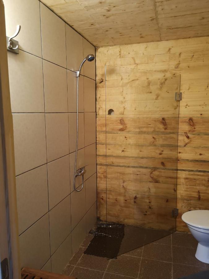 Brivdienu Maja "Raudini" Kaltene Bagian luar foto