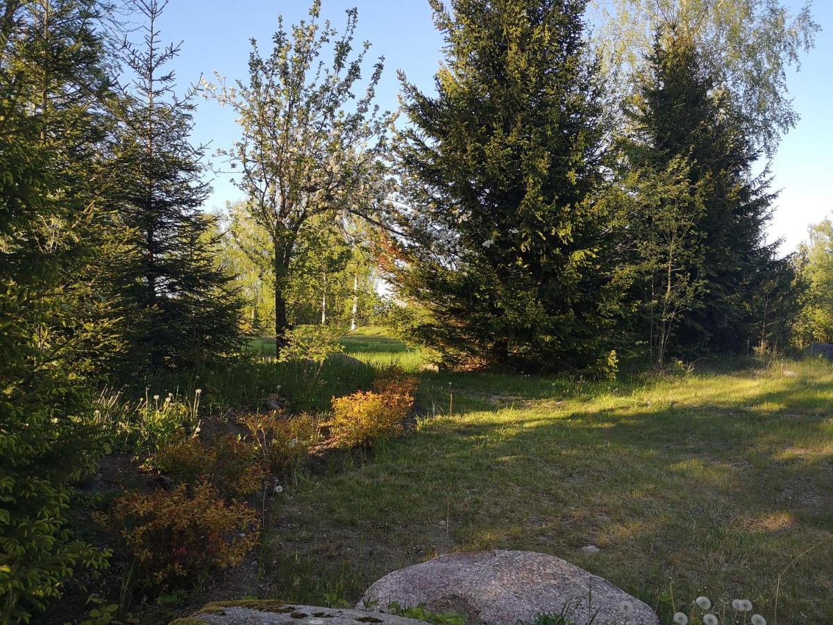 Brivdienu Maja "Raudini" Kaltene Bagian luar foto