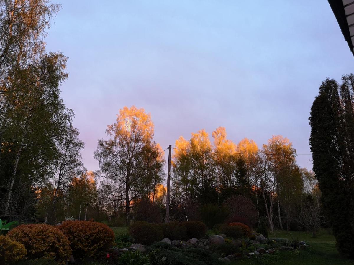Brivdienu Maja "Raudini" Kaltene Bagian luar foto