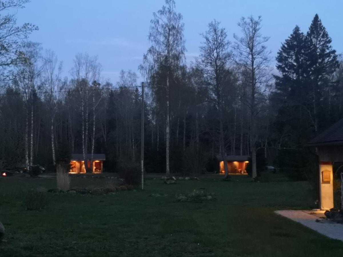Brivdienu Maja "Raudini" Kaltene Bagian luar foto