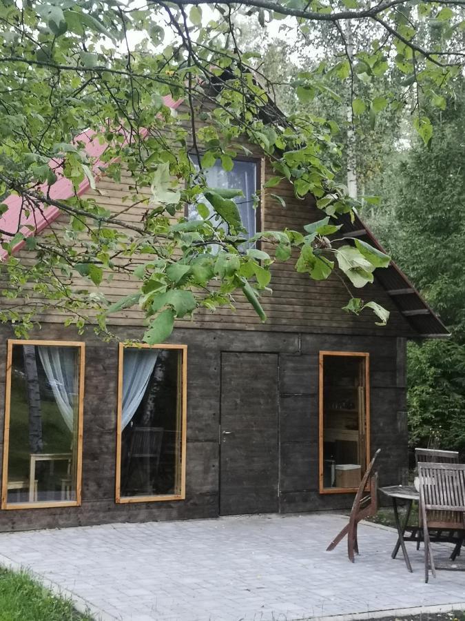 Brivdienu Maja "Raudini" Kaltene Bagian luar foto