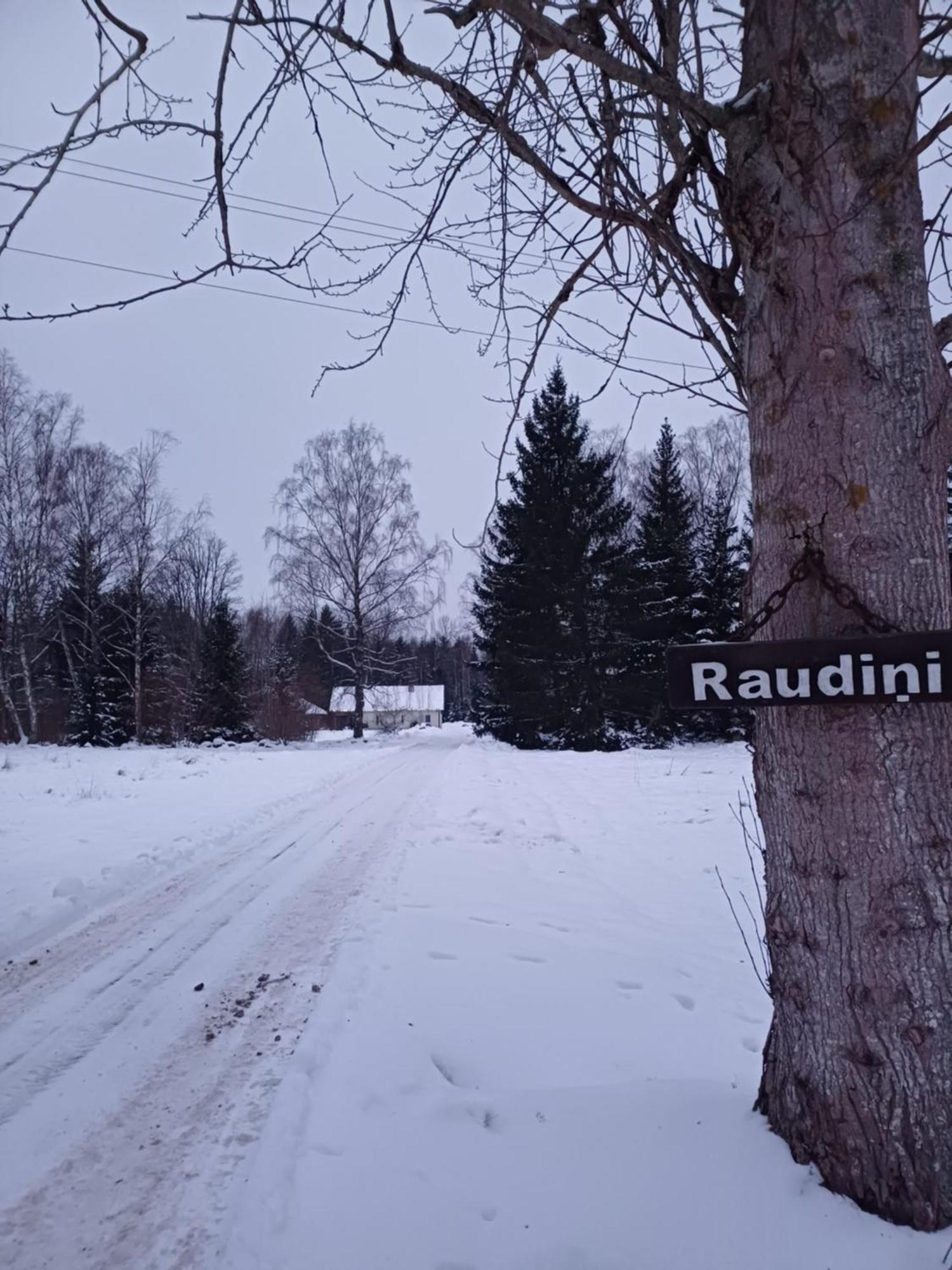Brivdienu Maja "Raudini" Kaltene Bagian luar foto