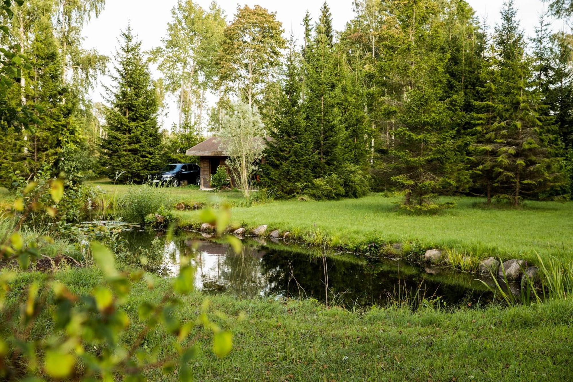 Brivdienu Maja "Raudini" Kaltene Bagian luar foto