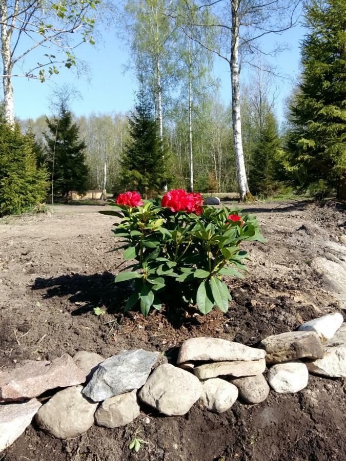 Brivdienu Maja "Raudini" Kaltene Bagian luar foto