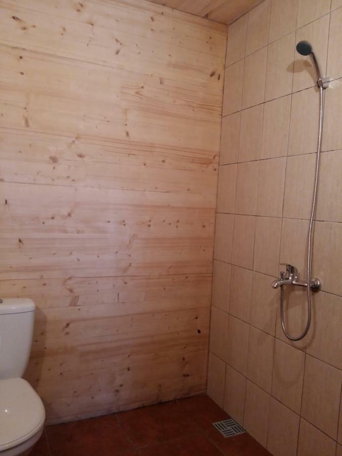 Brivdienu Maja "Raudini" Kaltene Bagian luar foto